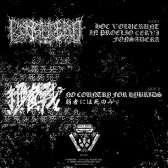 Fonsadera / Biological Warfare - 暴​力​を​表​現​す​る​も​う​一​つ​の​方​法 (Another Way of Expressing the Violence) LP