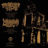 Forbidden Tomb / Nansarunai - Split LP