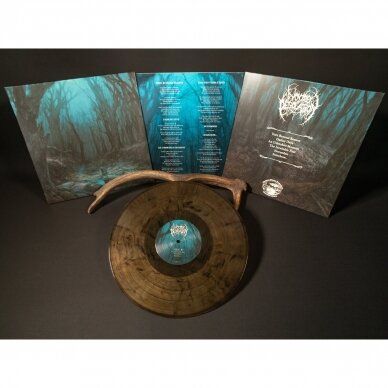 Woods of Desolation - Torn Beyond Reason LP 1